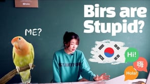 Related Embedded Video Item Thumbnail