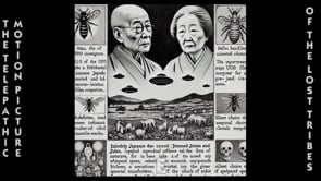 VolumeE_C_pt7_EN__D_description