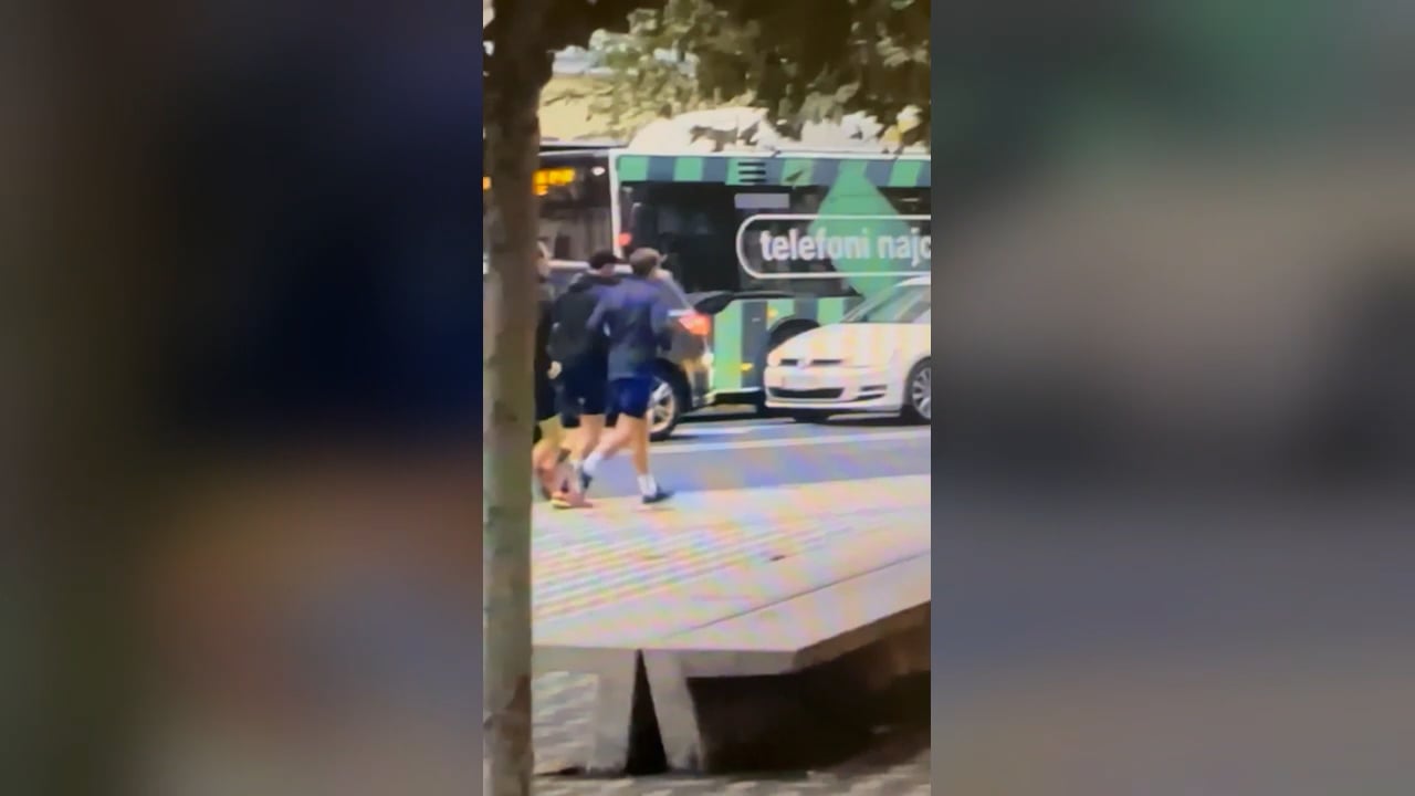 Macrona ujeli med jutranjim tekom po Ljubljani