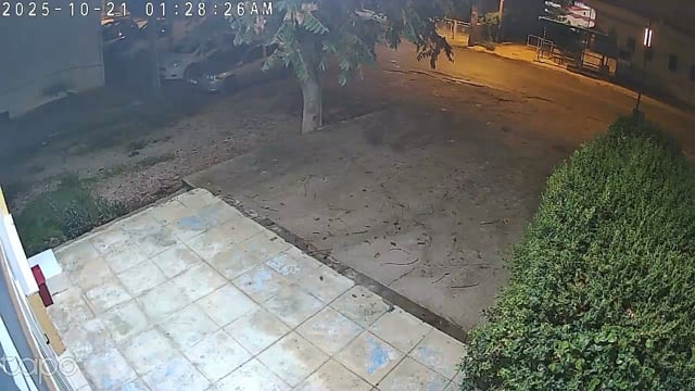 Αρτέμιδα Αττικής: Γυναίκα παράτησε κούτα με γατάκια έξω από κτηνιατρείο του Αρ. Χατζηκώστα 21-10-2025