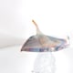 OCEANCREATURE Ray fish in multicolored glass video