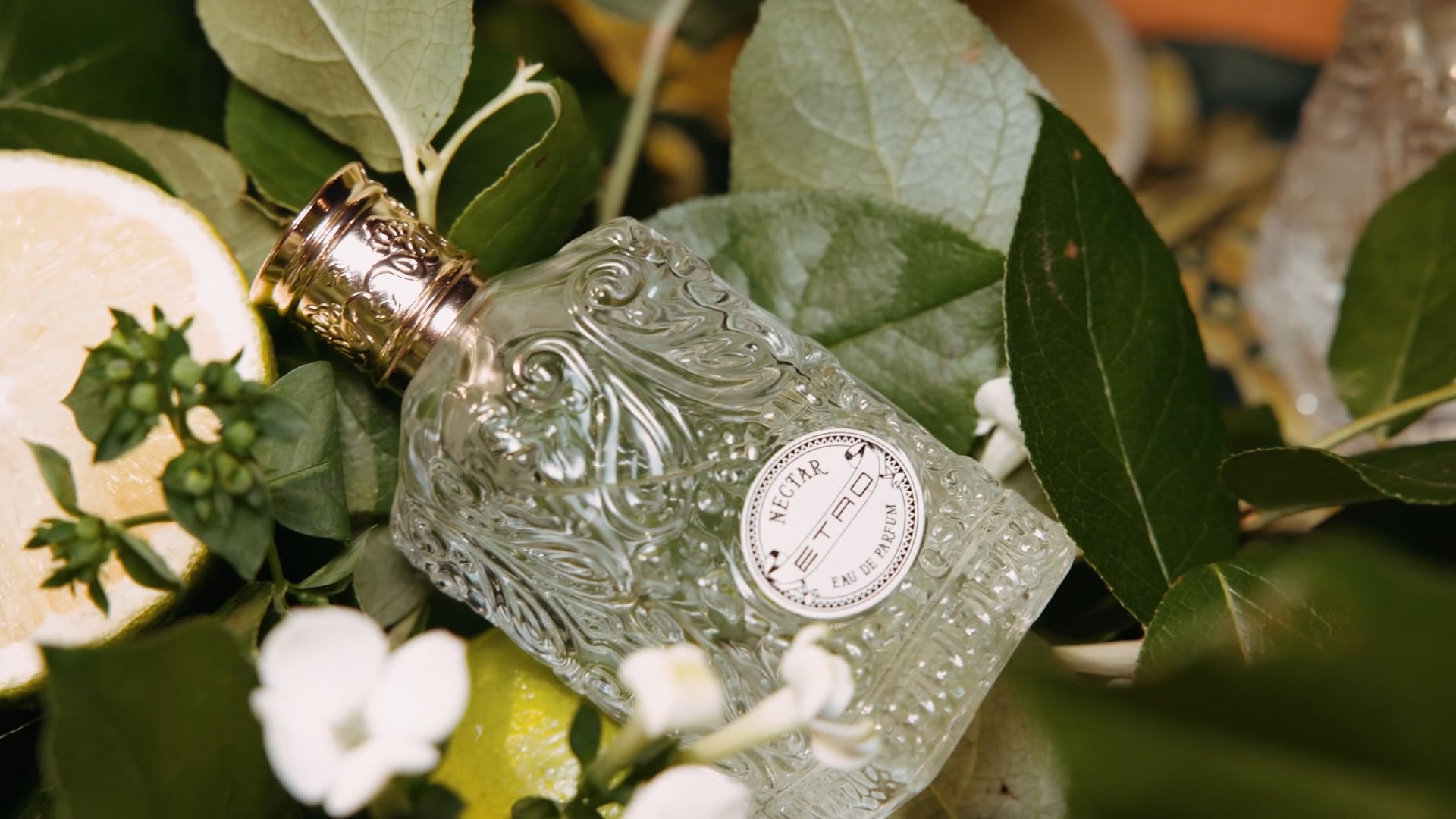 ETRO - NECTAR @ VILLA NECCHI