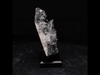 82537 - Hubernite, Quartz
