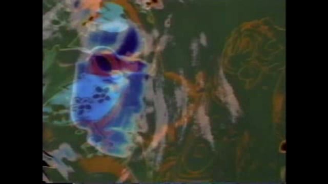 Walsh - China White thumbnail