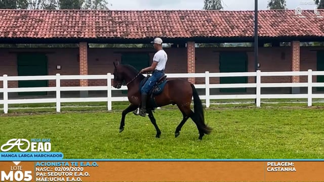Lote M05