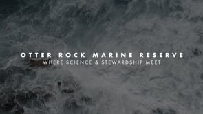 Friends of Otter Rock Marine Reserve