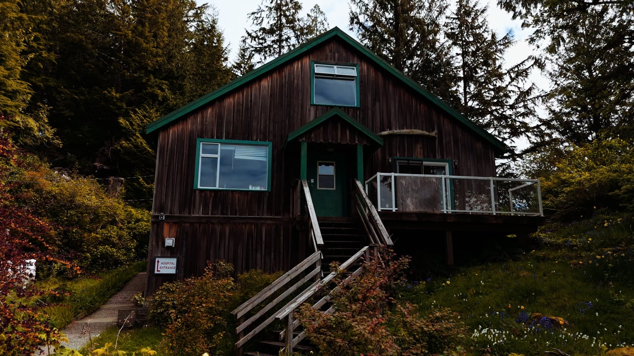 Healthcare in the Community