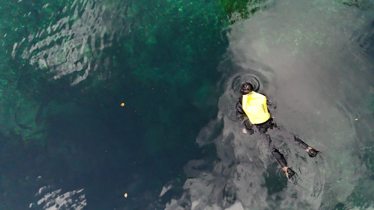 Rebuilding Fisheries