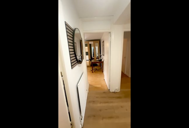 Video 1: