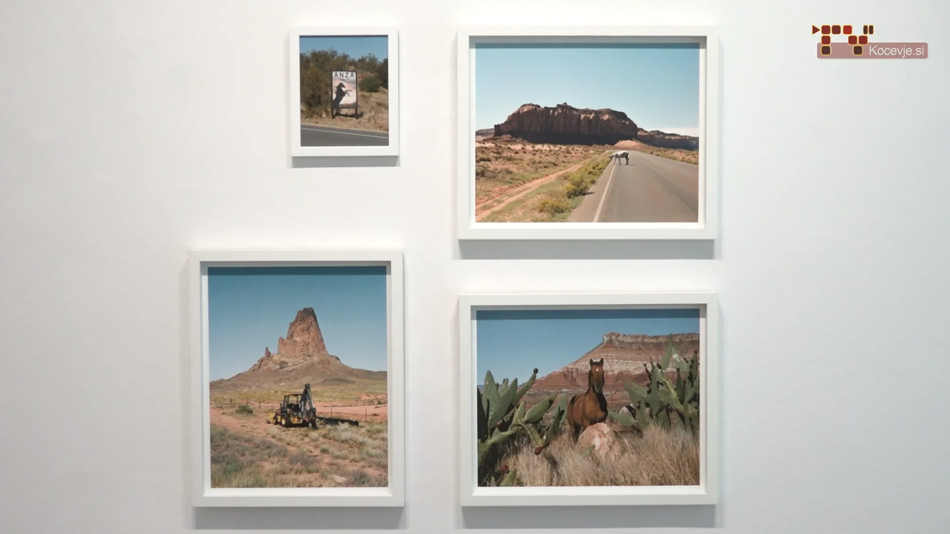 Razstava Dina Kužnika