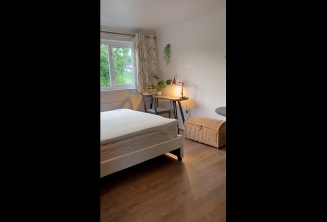  Large Room Near The Park, Bills Included  Main Photo