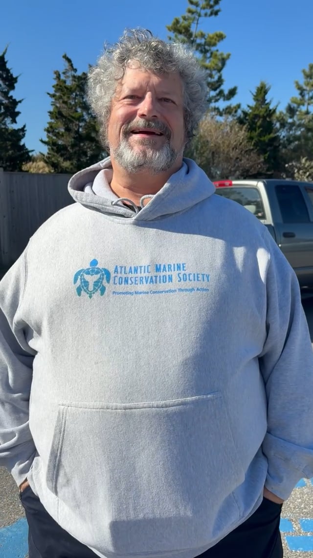 Atlantic Marine Conservation Society Responds to Dead Dolphin