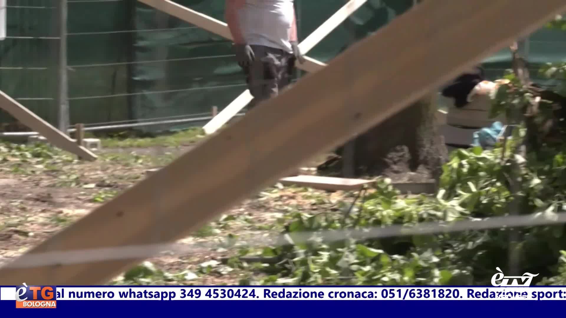 èTG –  Edizione Giorno 22/10/2025