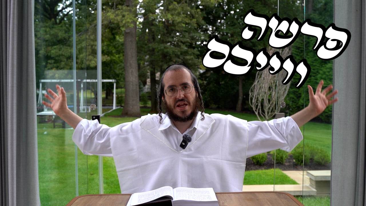 פרשה ווייבס - פרשת בראשית