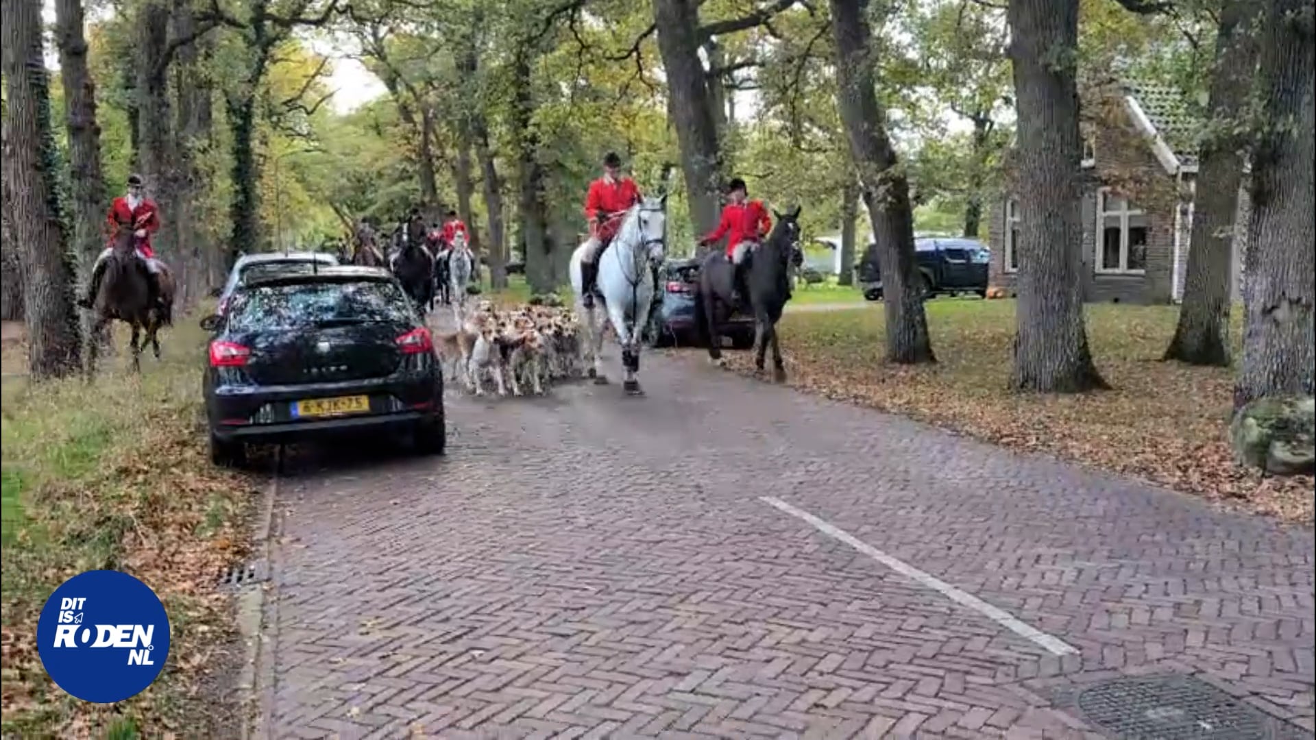 Vossenjacht Westervelde 2025