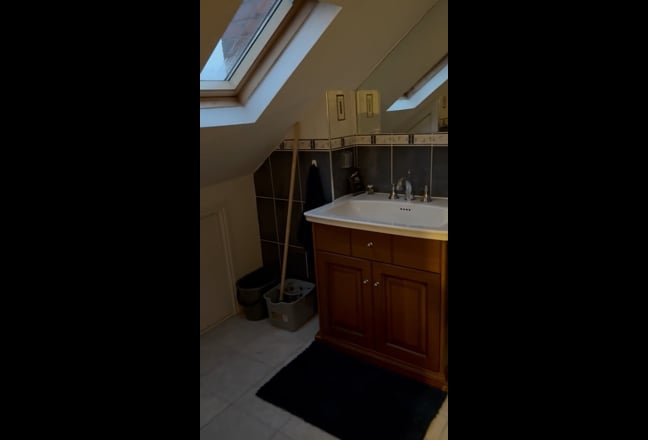 Professional female required en-suite loft room Main Photo