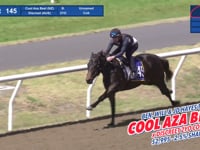 Lot 145 Cool Aza Beel x Discreet Colt