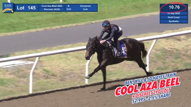 Lot 145 Cool Aza Beel x Discreet Colt
