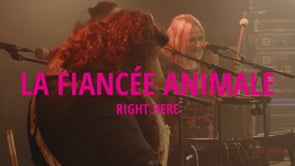 Related Embedded Video Item Thumbnail