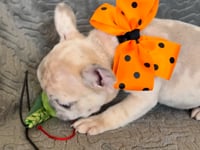 Watch me play!