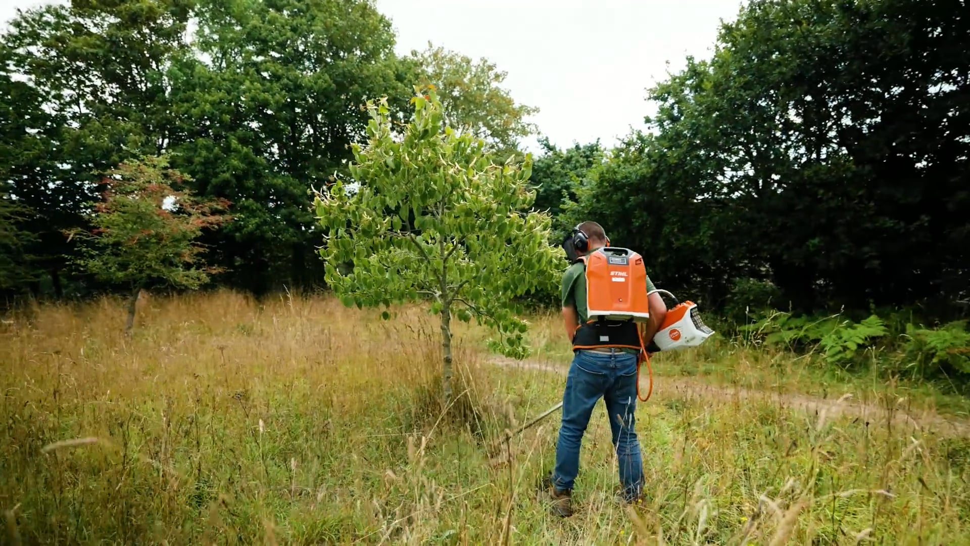 New equipment helps Jersey Trees for Life to cut emissions Image
