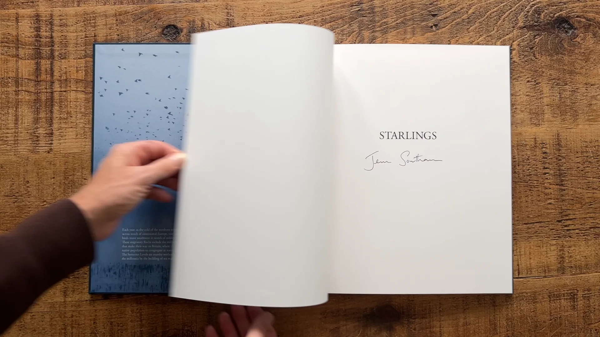 Jem Southam - Starlings (special edition) | Videos & Movies on Vimeo