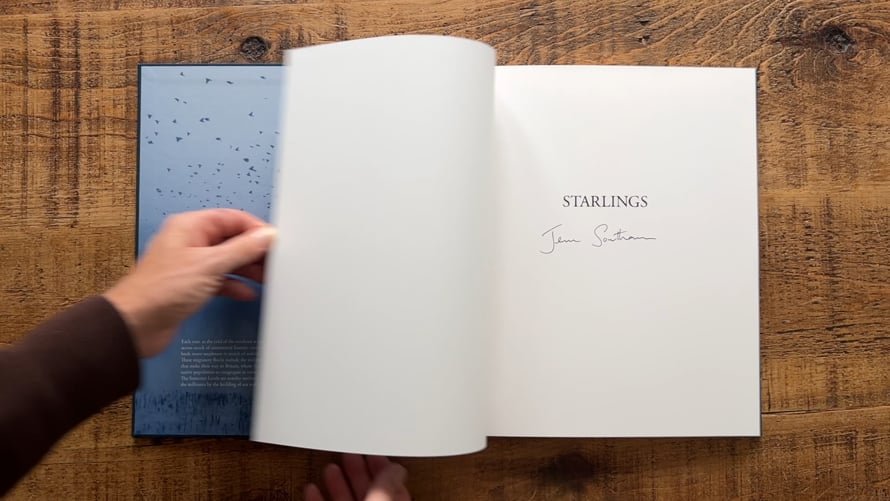 Jem Southam - Starlings (special edition) | Videos & Movies on Vimeo