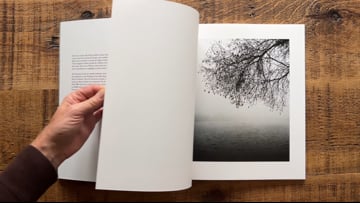 Jem Southam - Starlings (special edition) | Videos & Movies on Vimeo