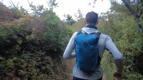 DocuSign - Customer Success Story (Keith Hamrick - Competitive Strategy)