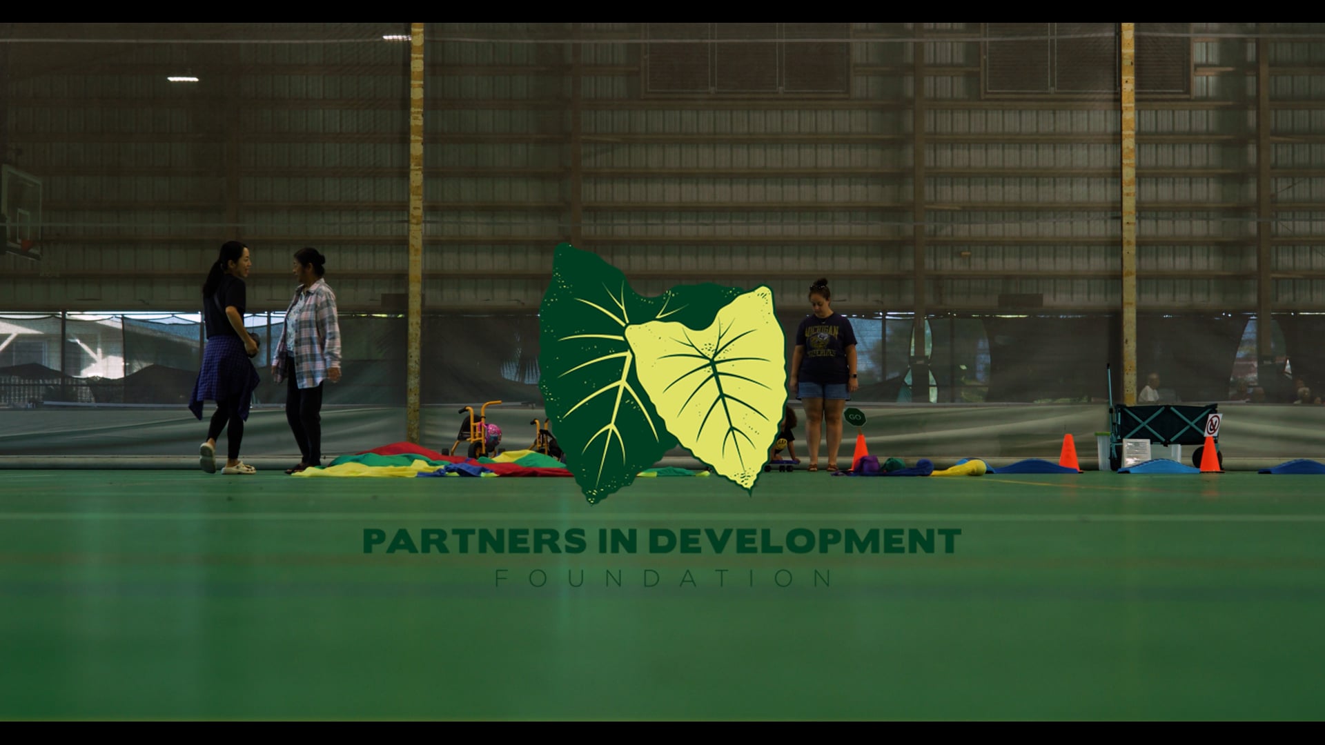 Partners In Development Foundation