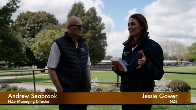 NZB Breeze Ups | Managing Director Andrew Seabrook