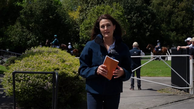 2025 Ready to Run Sale - Breeze Ups Overview