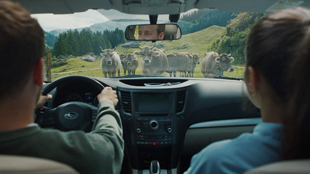 Vorschaubild von Crash Cow