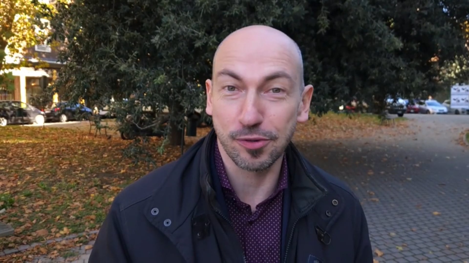 L’assessore Borsari risponde al centrodestra: “Facciamo già quello che propongono per la tutela degli alberi”