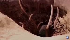 Do You Remember Your Dreams?