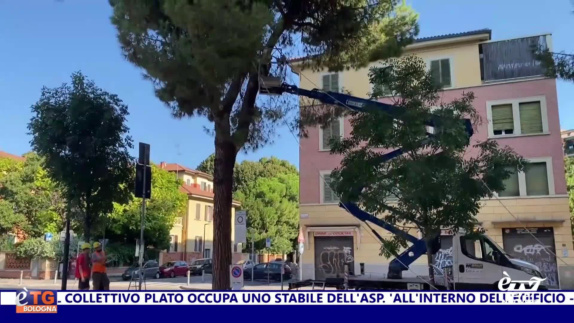 èTG –  Edizione Sera 24/10/2025