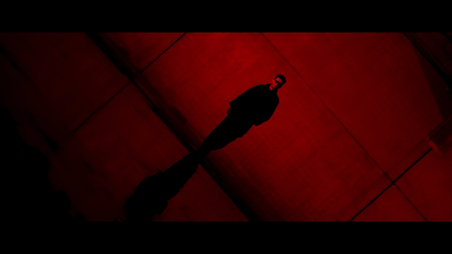 Basalte x Ozark Henry