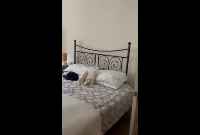 1 large room for rent - West end glasgow Main Photo