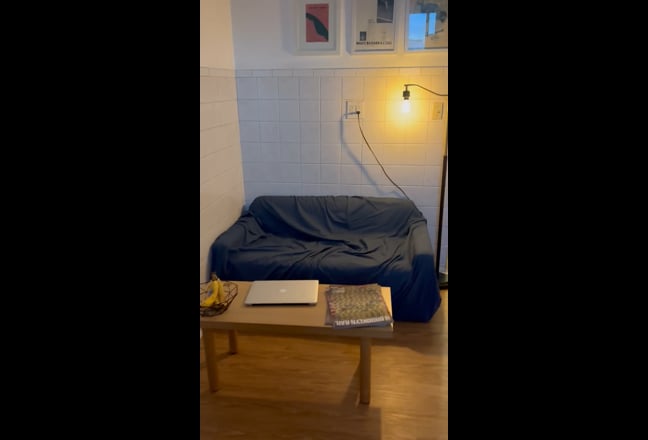 Stylish, furnished lg room in two bedroom apt Main Photo