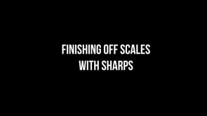 Finishing off our Sharp Scales