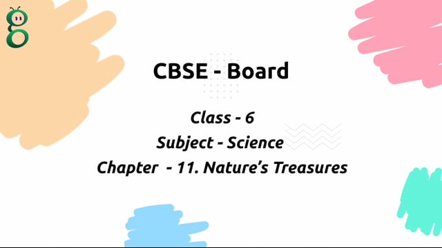 Nature Treasures – Class 6 Science