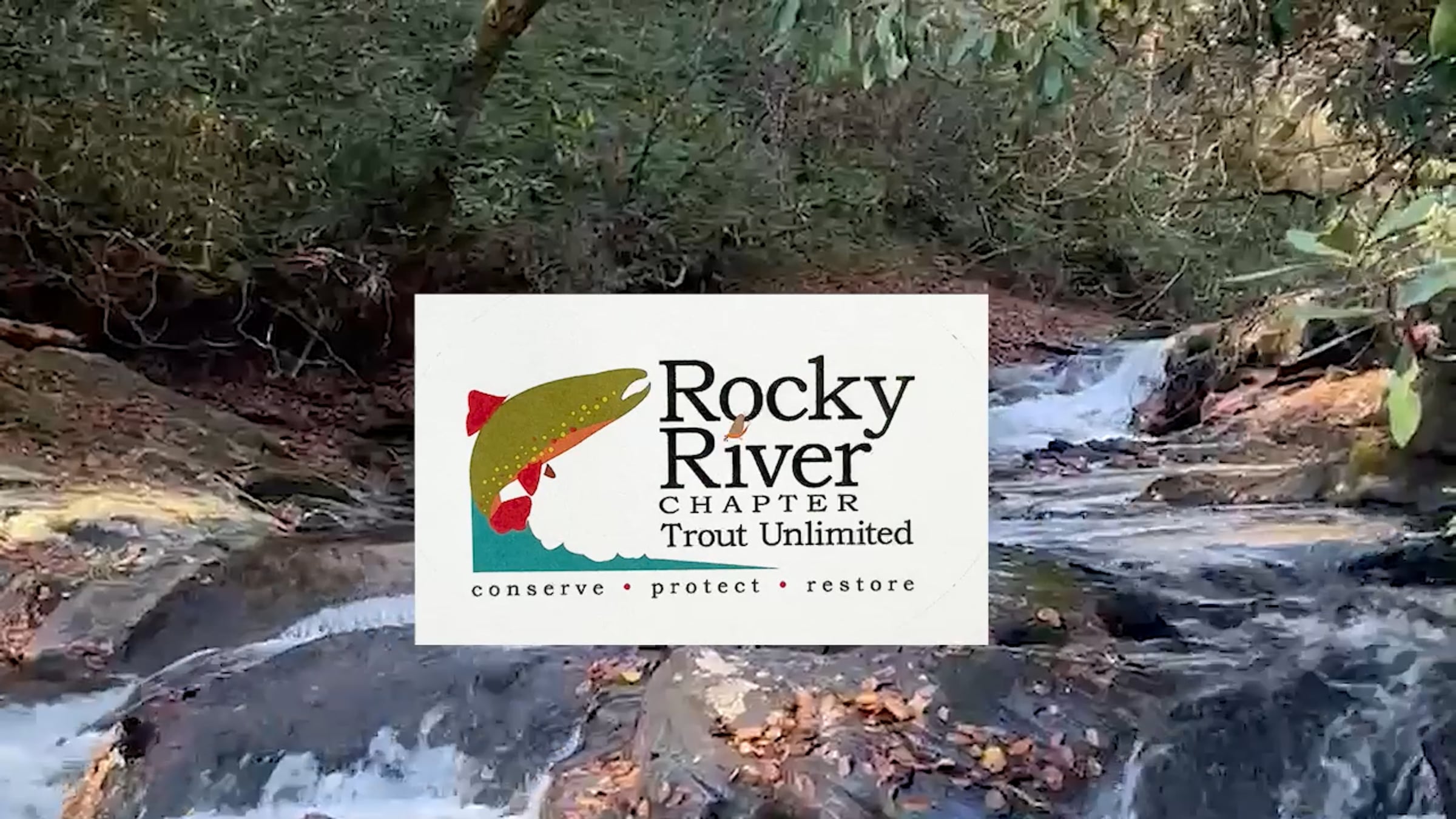 RRTu Adv Tiers Gierach Hares Ear Stonefly Nymph with intro | Videos ...