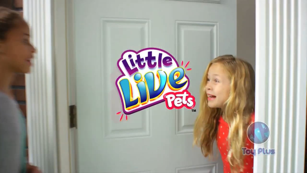 Toy Plus | Little Live Pets; Mamá & Bebé Búhos.