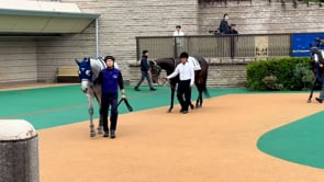 動画サムネイル