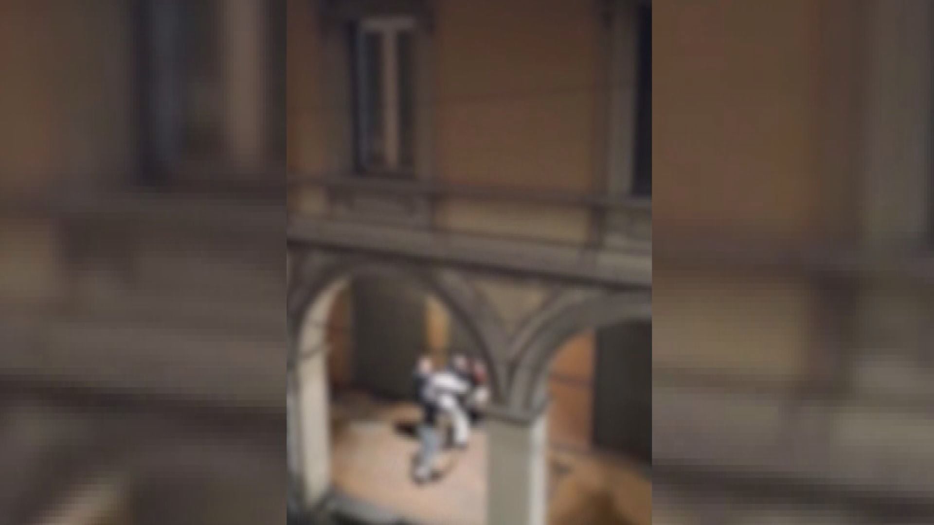 Rissa in via San Vitale, ragazza presa a pugni