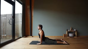 Related Embedded Video Item Thumbnail