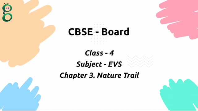 Nature Trail – Class 4 Environment