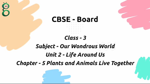 Plants and Animals Live Together – Class 3 Environment