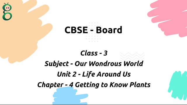 Getting to Know Plants – Class 3 Environment