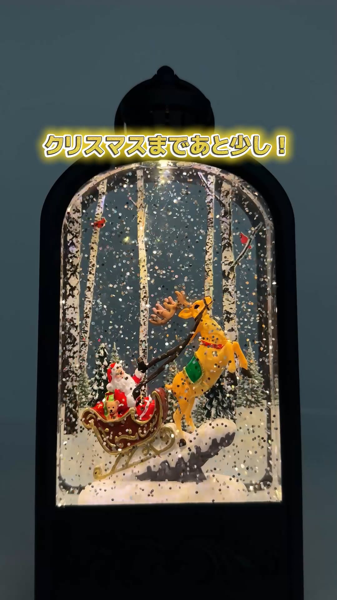 2025Xmas】LEDスノードーム | [公式]ニコアンド（niko and ）通販